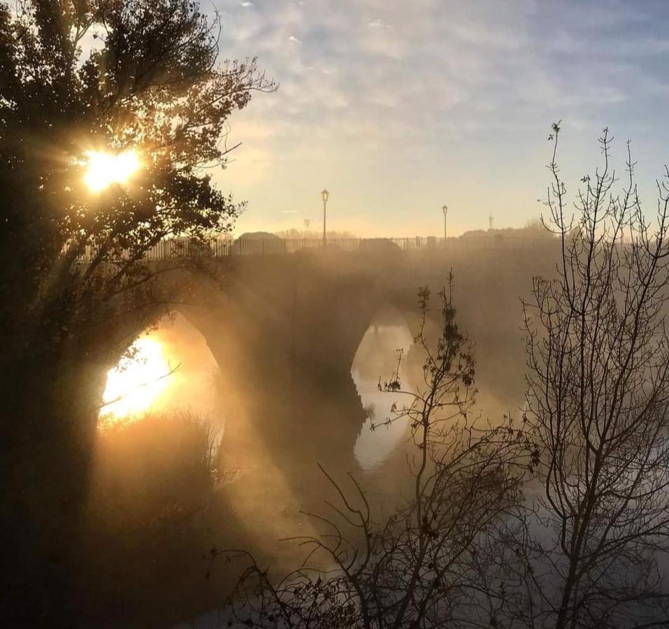 A Los Ojos Del Rio Duero Lejlighed Zamora Eksteriør billede