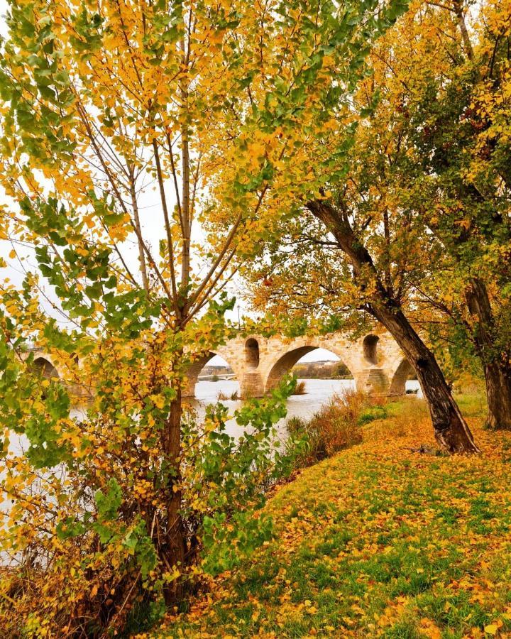 A Los Ojos Del Rio Duero Zamora Eksteriør billede