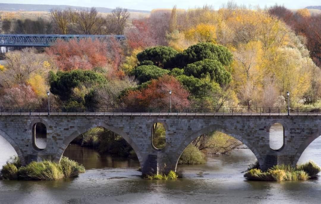 A Los Ojos Del Rio Duero Lejlighed Zamora Eksteriør billede