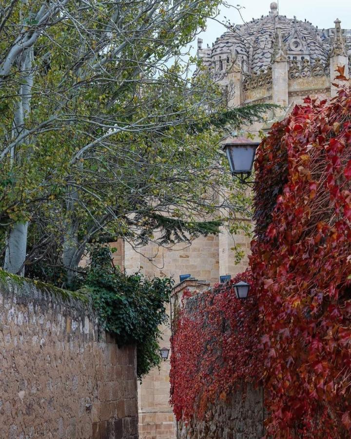 A Los Ojos Del Rio Duero Lejlighed Zamora Eksteriør billede