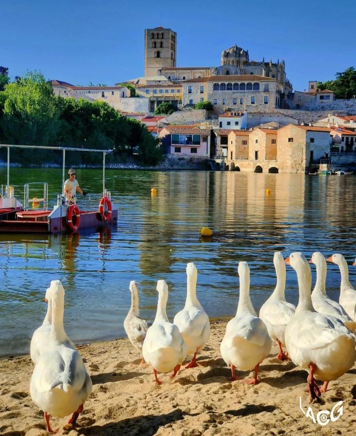 A Los Ojos Del Rio Duero Lejlighed Zamora Eksteriør billede