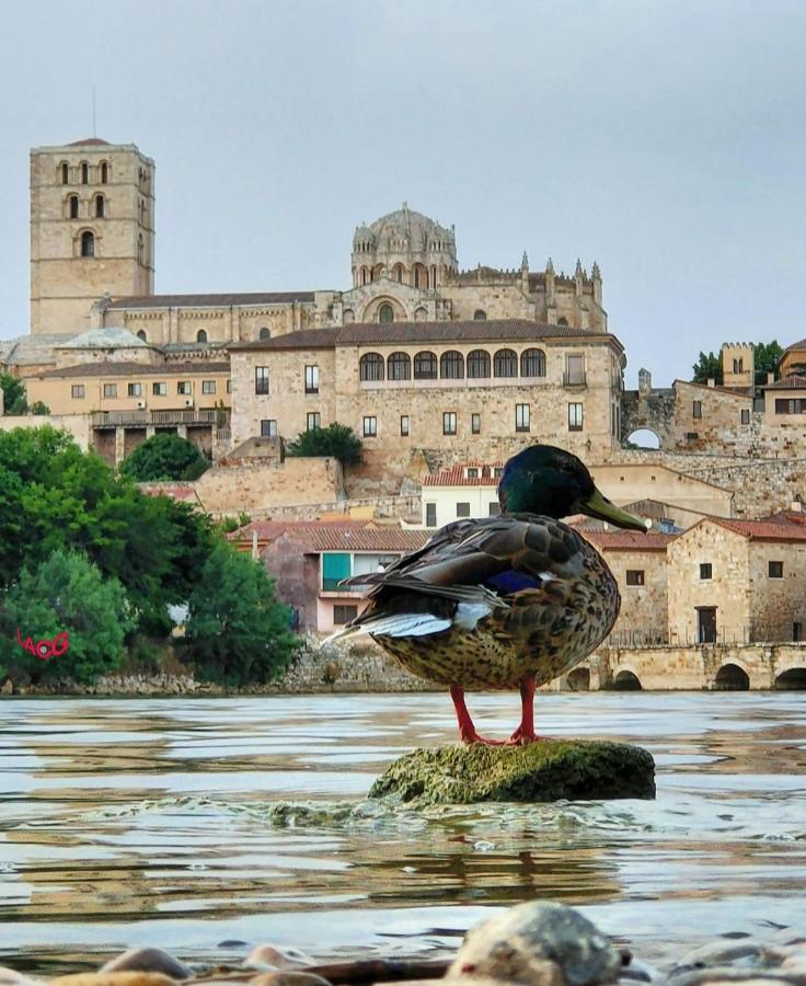 A Los Ojos Del Rio Duero Lejlighed Zamora Eksteriør billede