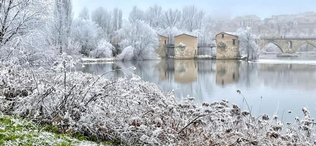 A Los Ojos Del Rio Duero Lejlighed Zamora Eksteriør billede