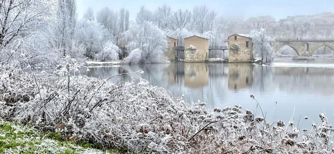 A Los Ojos Del Rio Duero Zamora Eksteriør billede