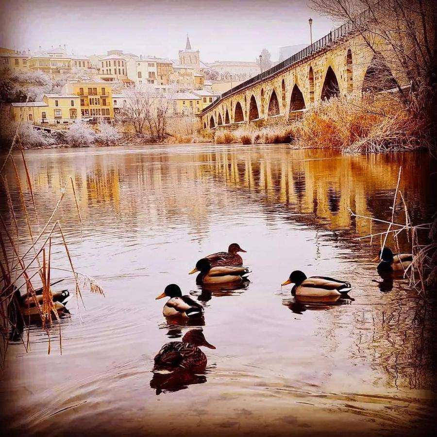 A Los Ojos Del Rio Duero Lejlighed Zamora Eksteriør billede