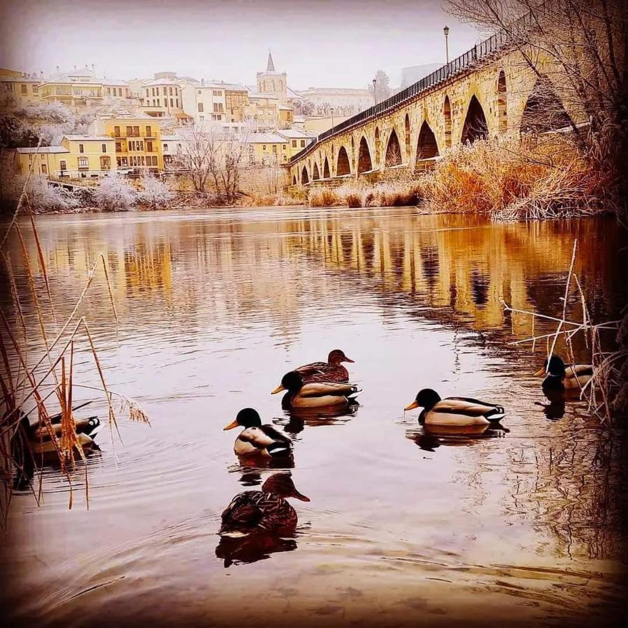A Los Ojos Del Rio Duero Zamora Eksteriør billede