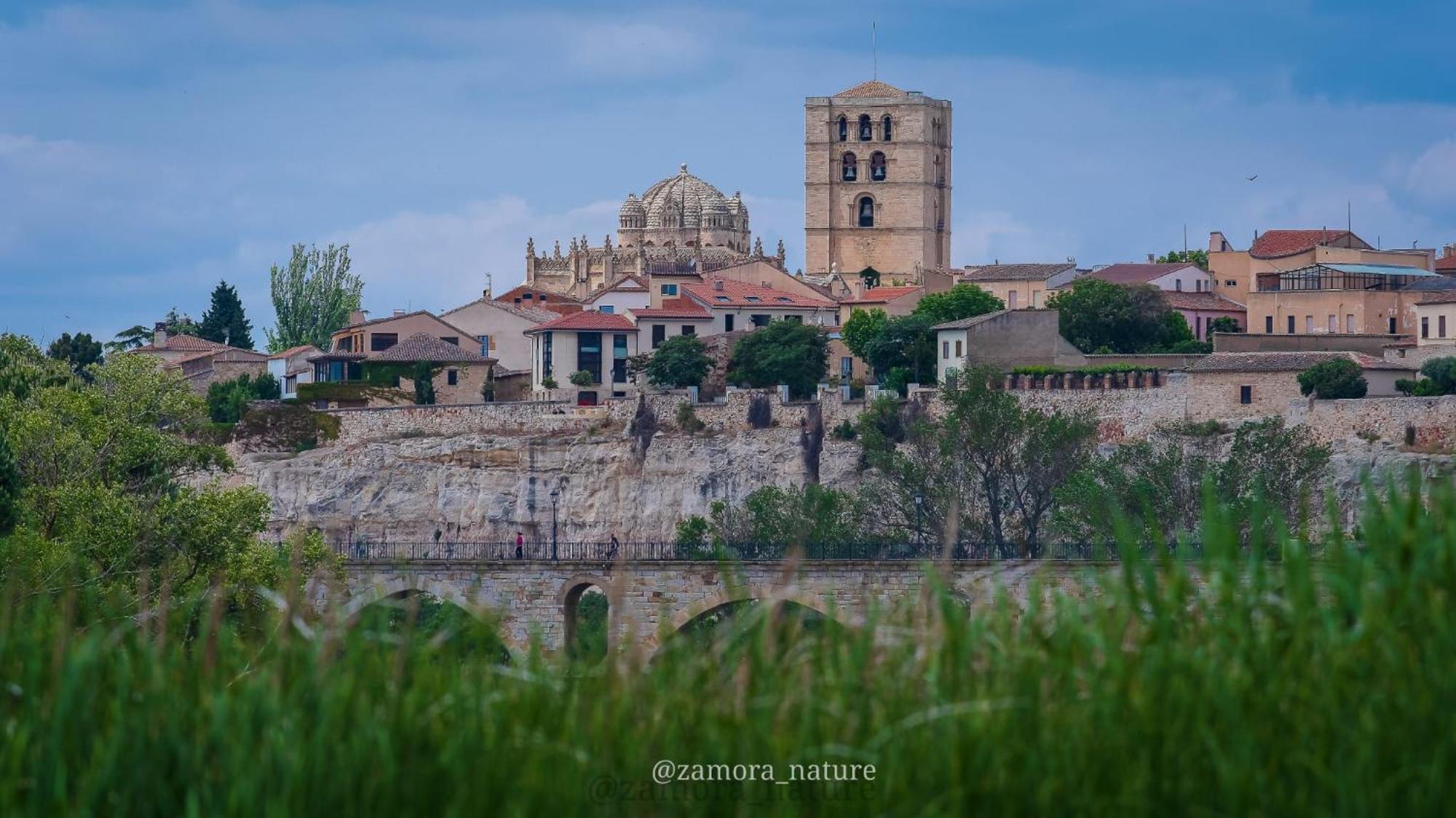 A Los Ojos Del Rio Duero Lejlighed Zamora Eksteriør billede